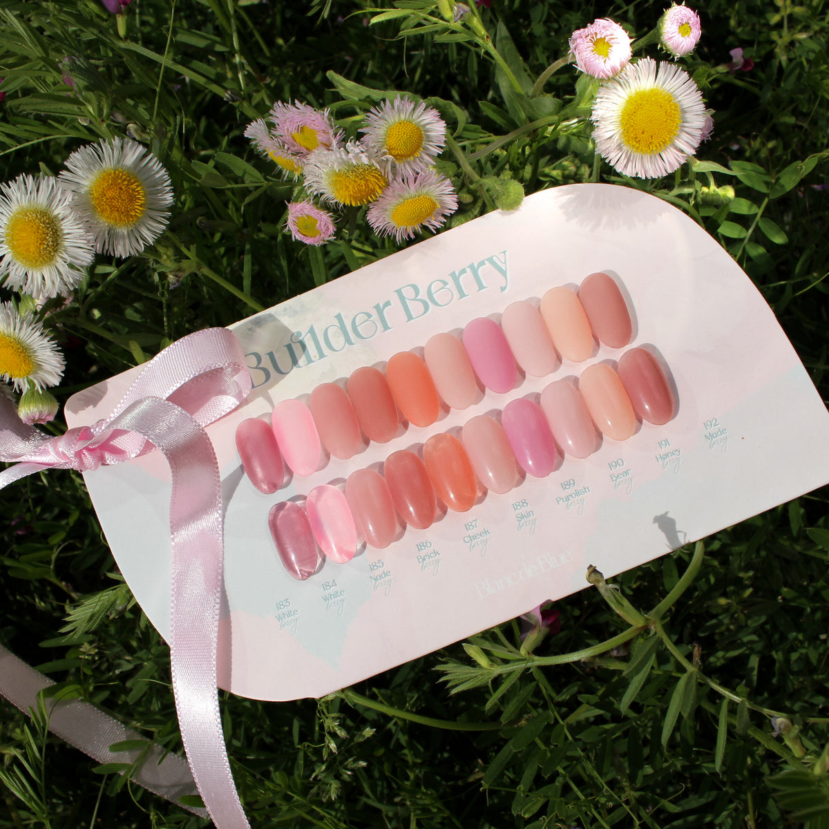Blanc de Blue- Builderberry