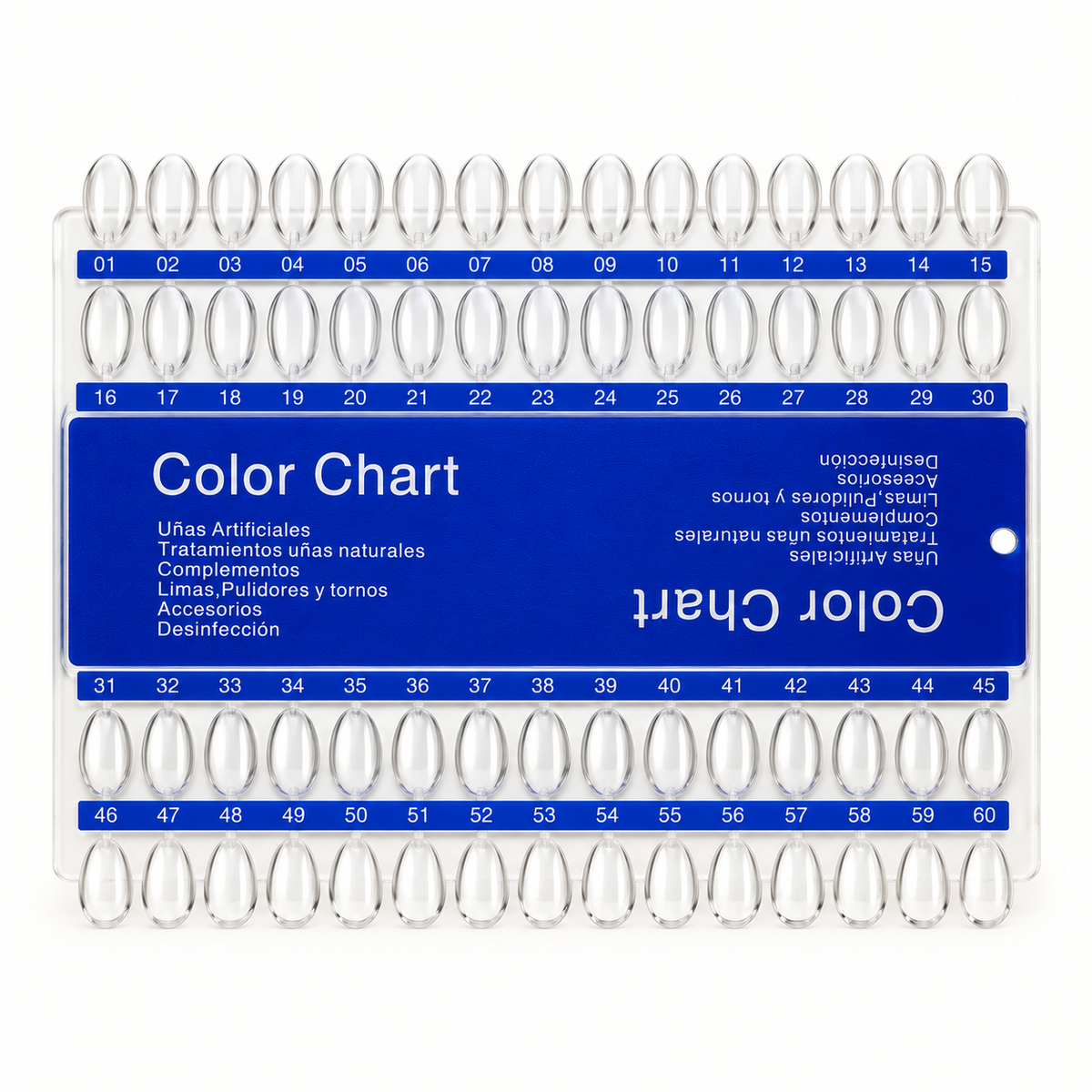 Berkeley 60-tip rectangular clear nail color chart, unpainted.