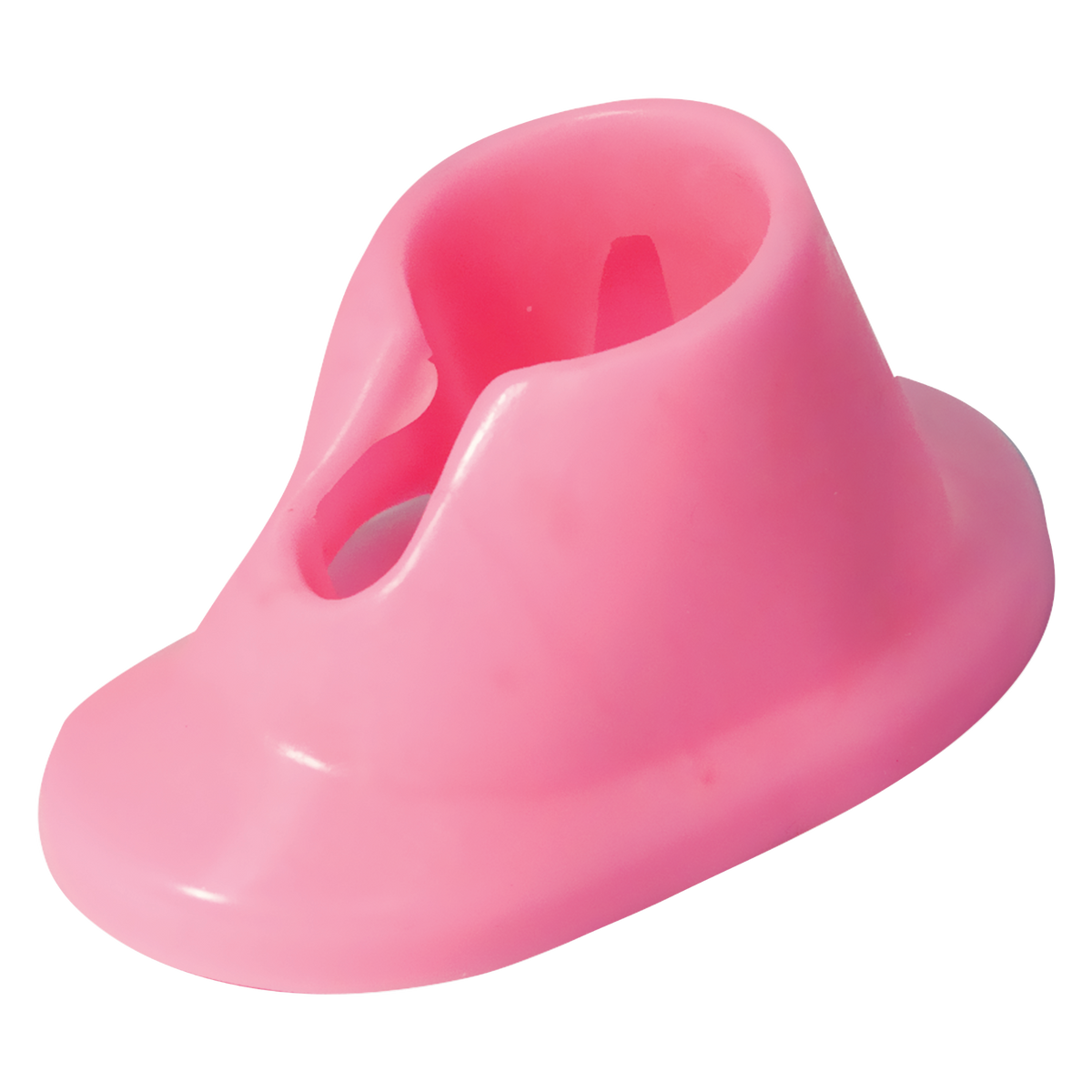 DL Pro Pink Nail Polish Bottle Holder – DL-C217