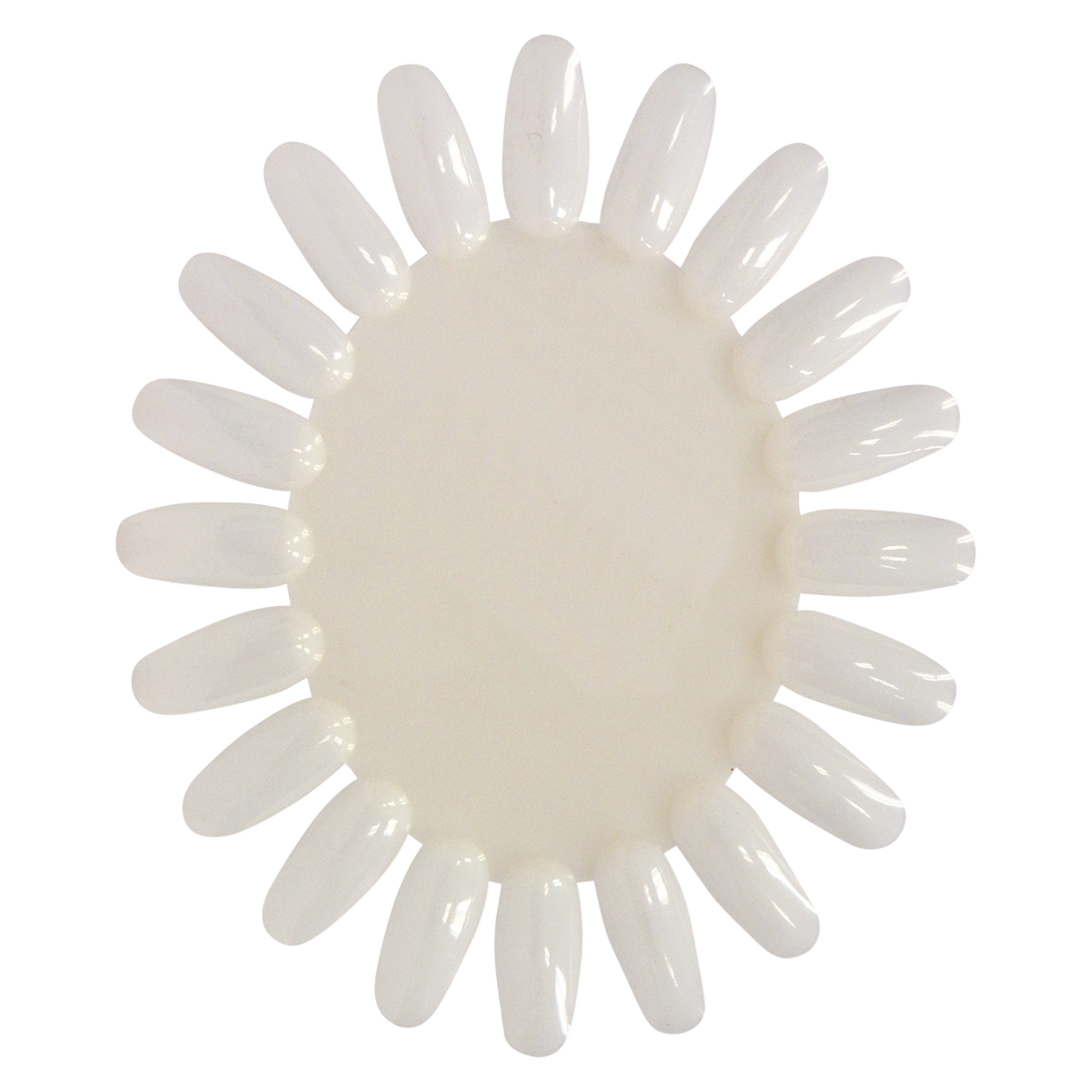 DL Pro Natural Nail Polish Palette – 20 Tips – DL-C234
