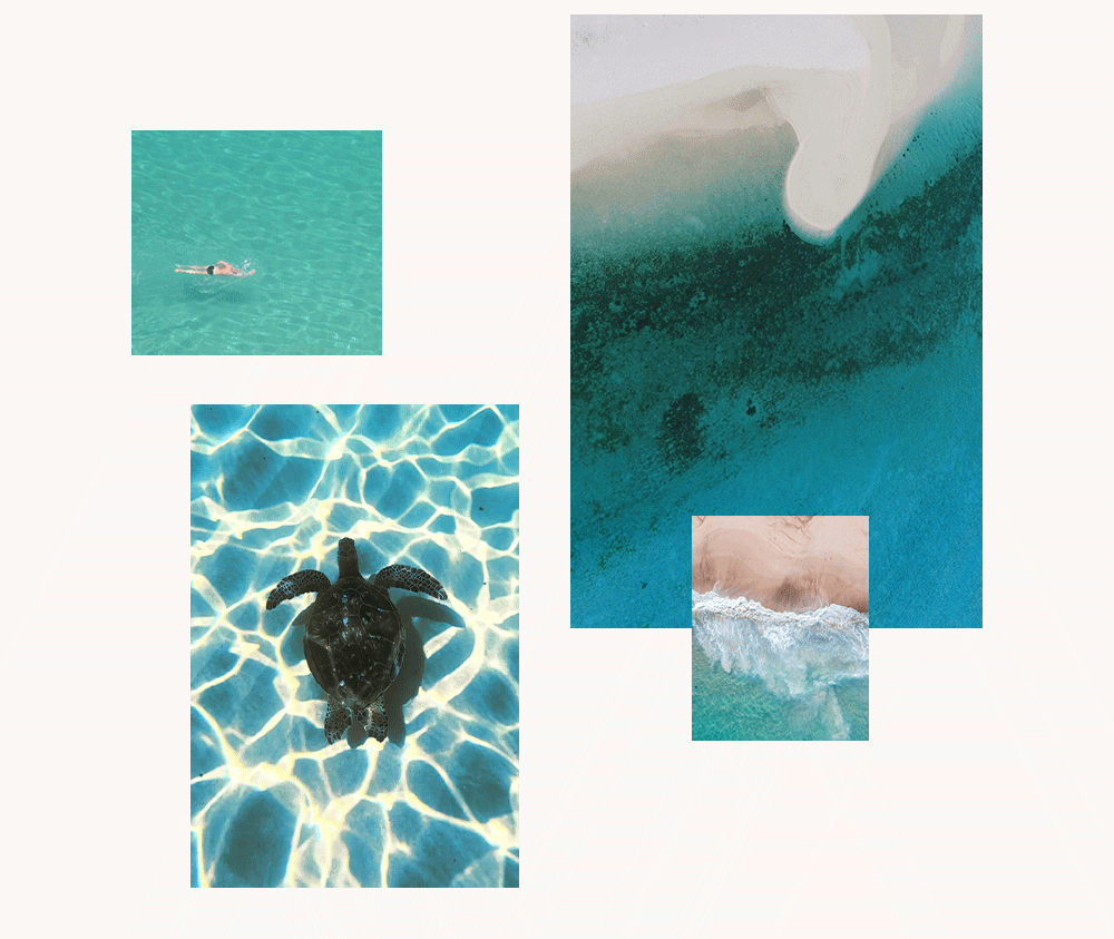 Since - Grand Bleu
