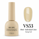 VS53